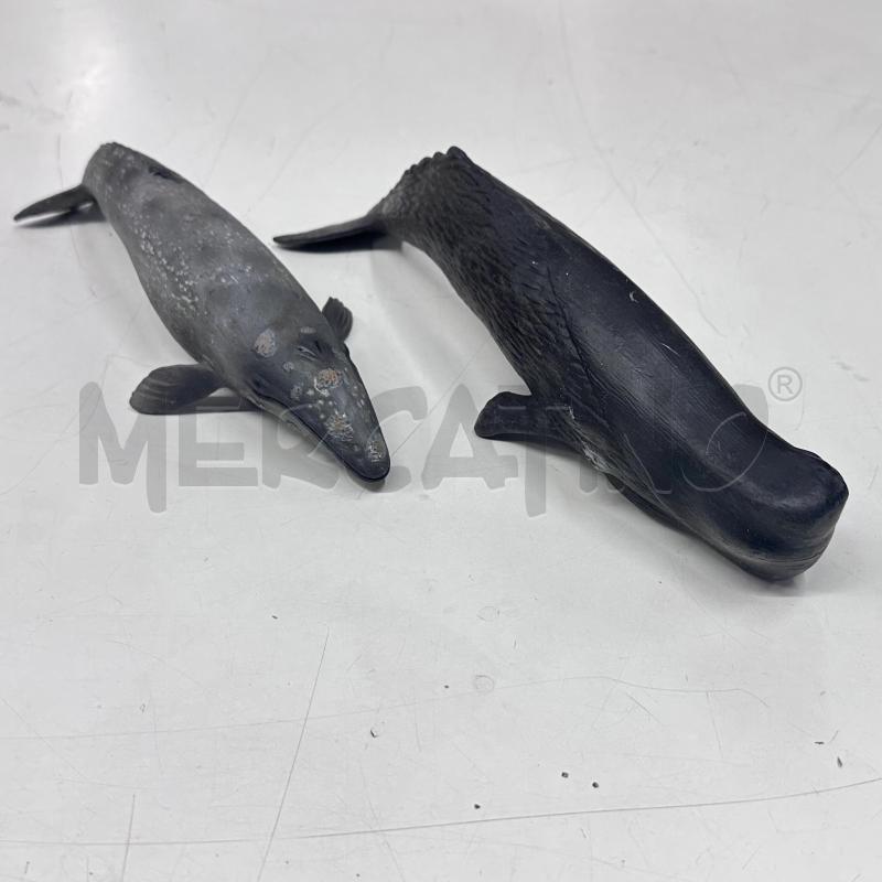 ANIMALI MARINI COPPIA GRANDI GERMANY  | Mercatino dell'Usato Roma gregorio vii 1