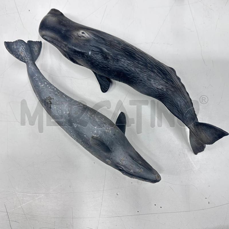 ANIMALI MARINI COPPIA GRANDI GERMANY  | Mercatino dell'Usato Roma gregorio vii 3