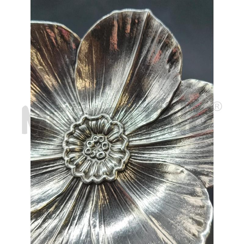 CIOTOLA BUCCELLATI NARCISO 12 CENTIMETRI  | Mercatino dell'Usato Roma gregorio vii 2