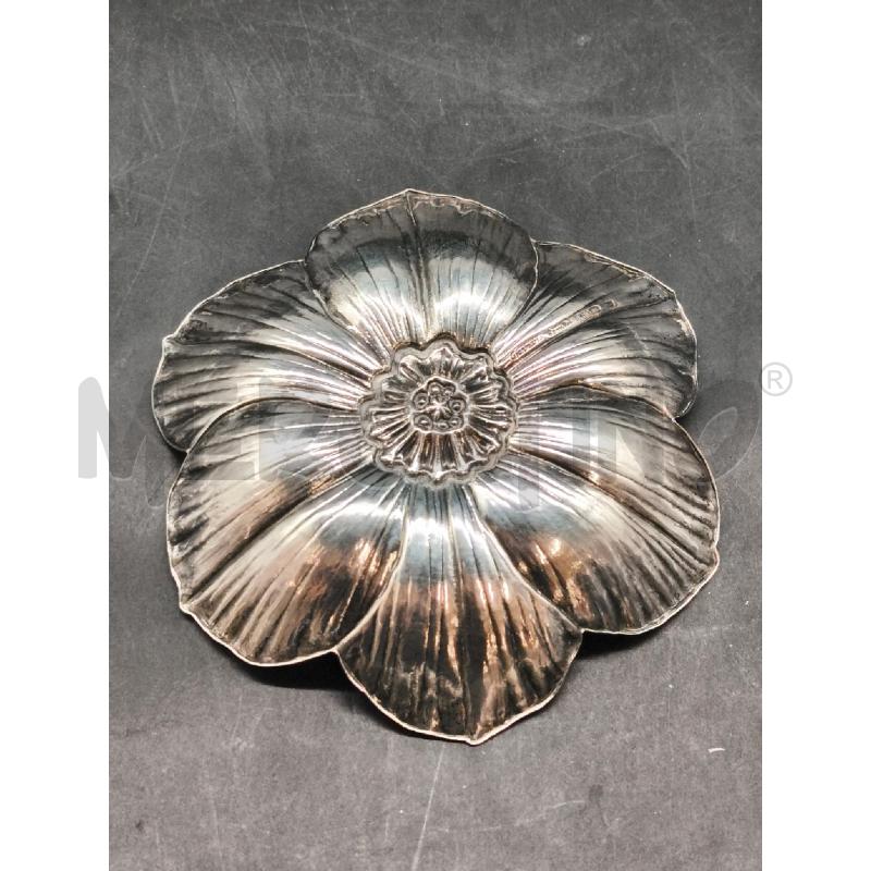 CIOTOLA BUCCELLATI NARCISO 12 CENTIMETRI  | Mercatino dell'Usato Roma gregorio vii 4