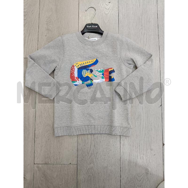 FELPA BAMBINO LACOSTE GRIGIA COCCODRILLO MULTICOLORE | Mercatino dell'Usato Roma gregorio vii 1