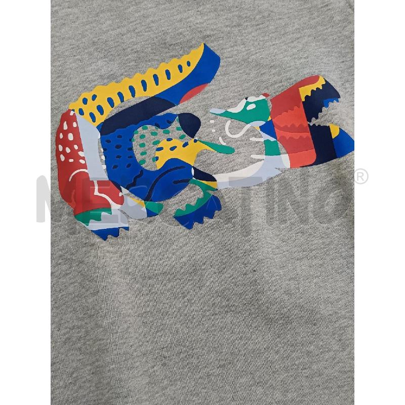 FELPA BAMBINO LACOSTE GRIGIA COCCODRILLO MULTICOLORE | Mercatino dell'Usato Roma gregorio vii 2