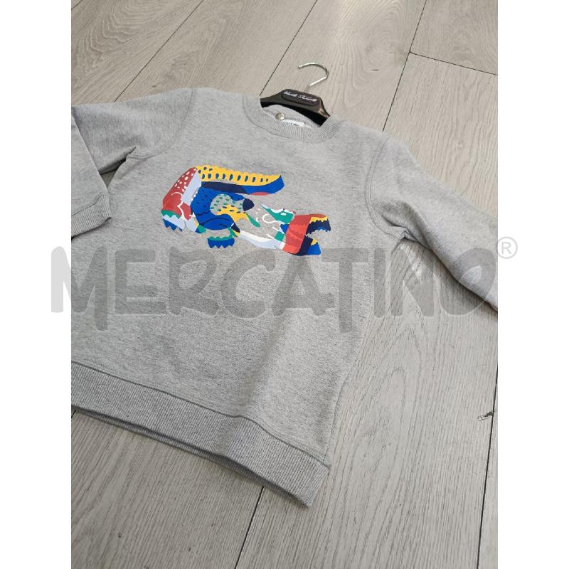 FELPA BAMBINO LACOSTE GRIGIA COCCODRILLO MULTICOLORE | Mercatino dell'Usato Roma gregorio vii 3