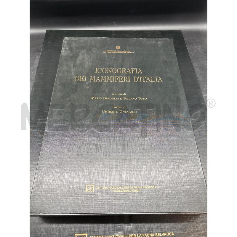 ICONOGRAFIA MAMMIFERI + TAVOLE | Mercatino dell'Usato Roma gregorio vii 2