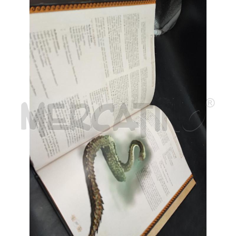 LIBRO MANUALE LEX ARCANA | Mercatino dell'Usato Roma gregorio vii 2