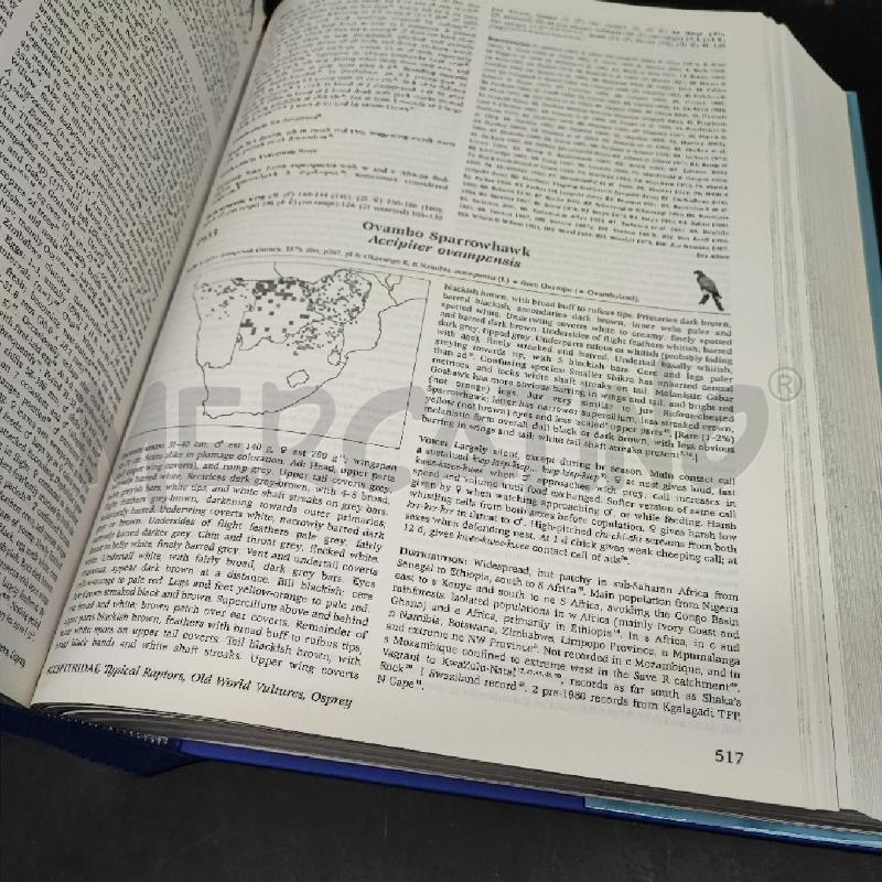 LIBRO ROBERT BIRDS | Mercatino dell'Usato Roma gregorio vii 4