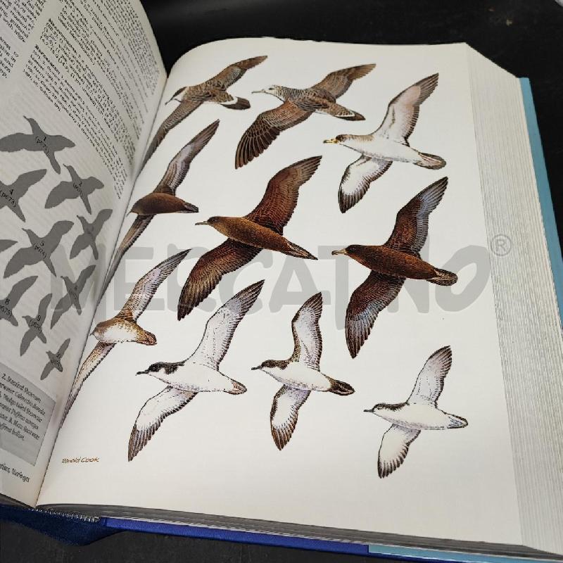 LIBRO ROBERT BIRDS | Mercatino dell'Usato Roma gregorio vii 5