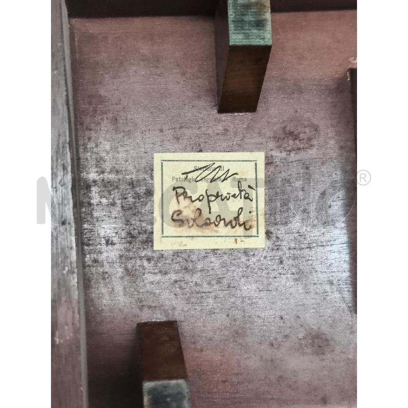 MICROSCOPIO MET DOR SCATOLA LEGNO SCURO  | Mercatino dell'Usato Roma gregorio vii 2