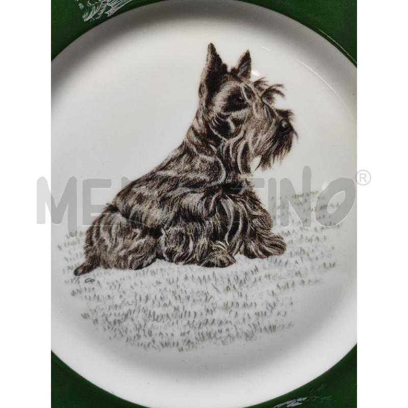 PIATTINO HERMES SCOTTISH TERRIER 21 CM | Mercatino dell'Usato Roma gregorio vii 2