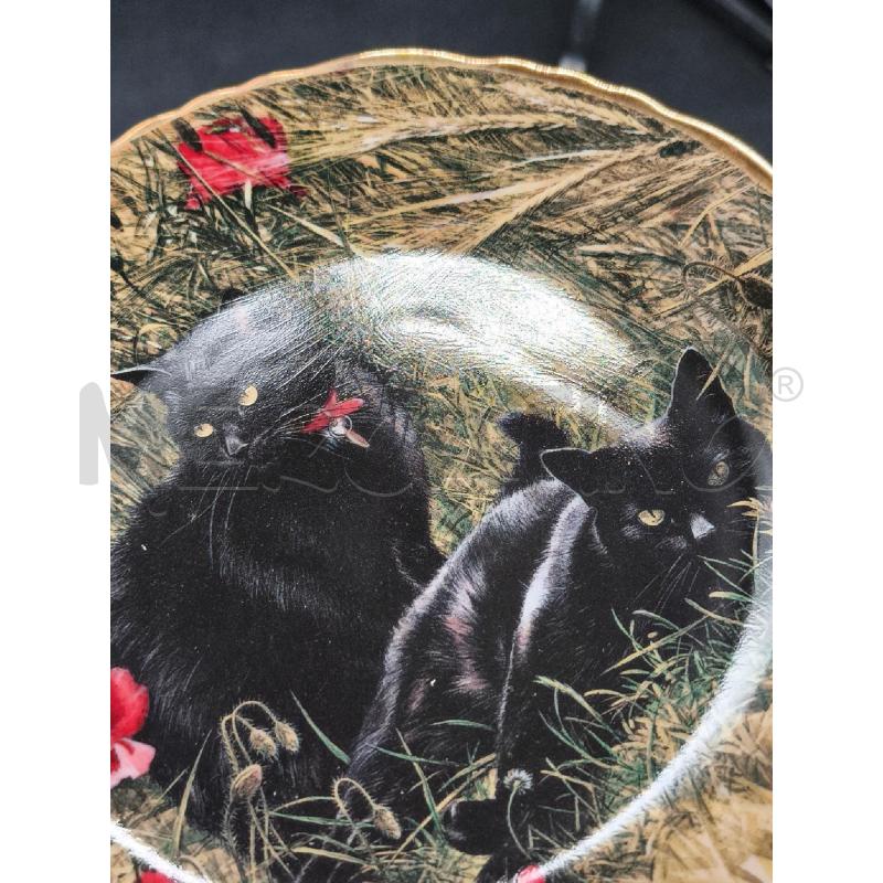 PIATTINO INGLESE GATTINI NERI  | Mercatino dell'Usato Roma gregorio vii 2