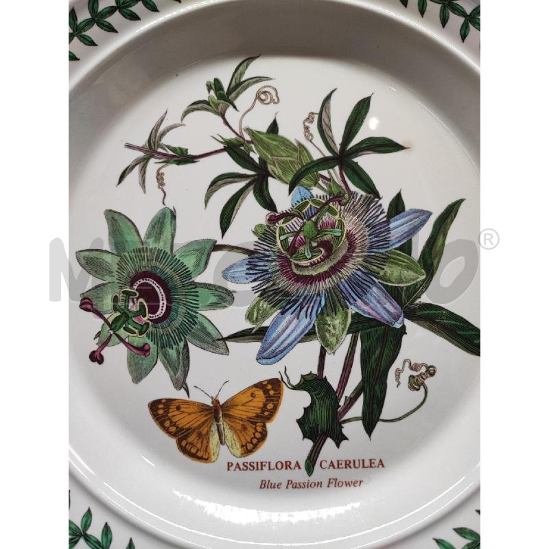 PIATTO PASSIFLORA BOTANIC GARDEN  | Mercatino dell'Usato Roma gregorio vii 2