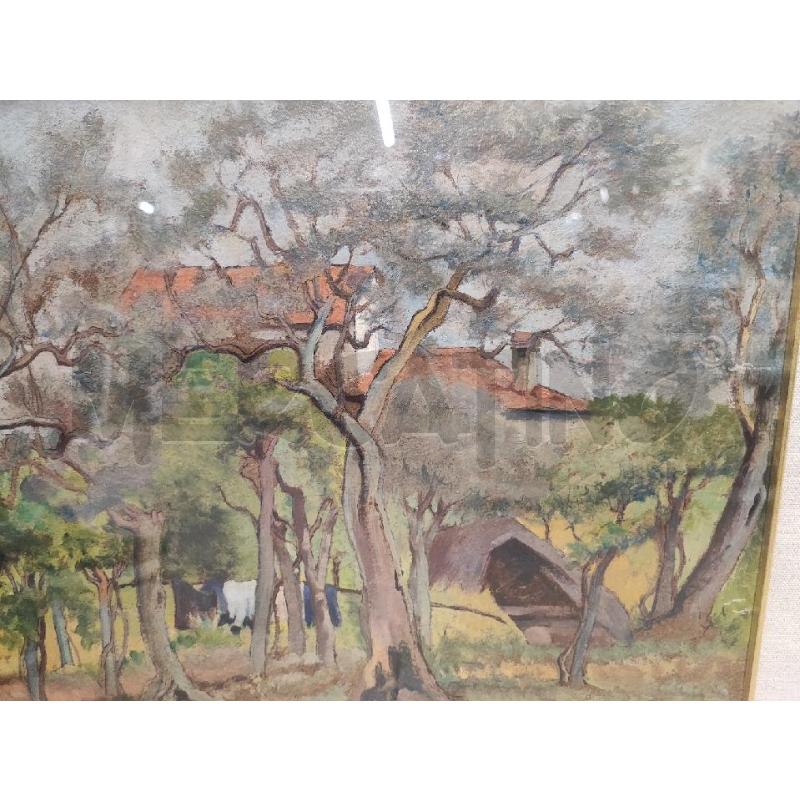 QUADRO OLIO ALBERI CAMAPAGNA  | Mercatino dell'Usato Roma gregorio vii 2