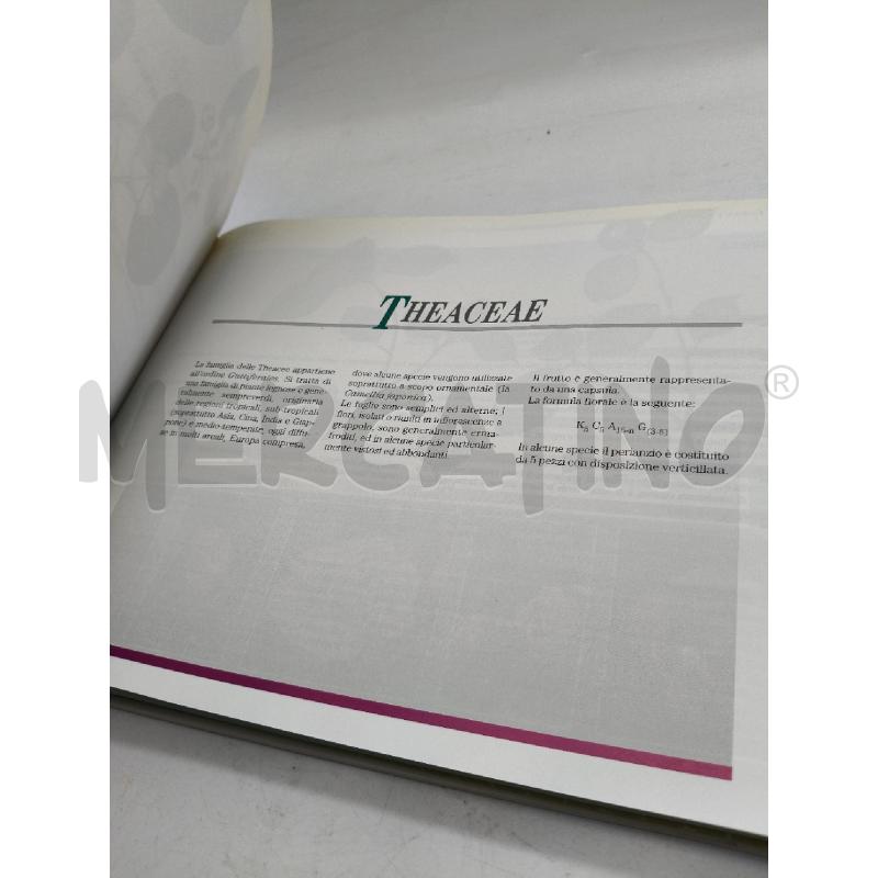 ALBERI E ARBUSTI IN TIALIA MANUALE DI RICONOSCIMENTO | Mercatino dell'Usato Roma talenti 2
