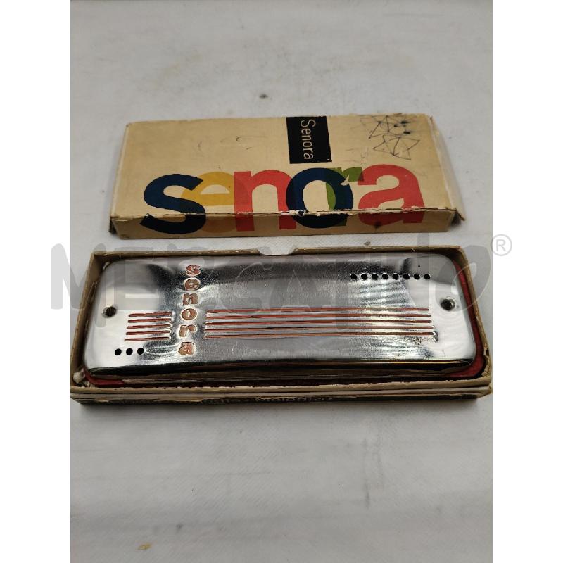 ARMONICA SENORA CON SCAT | Mercatino dell'Usato Roma talenti 1