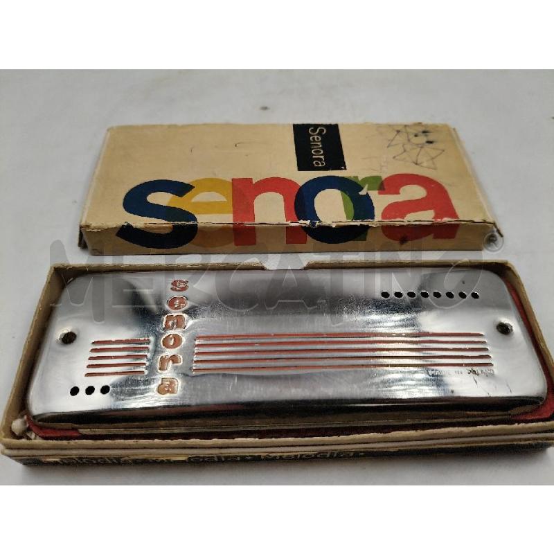 ARMONICA SENORA CON SCAT | Mercatino dell'Usato Roma talenti 2