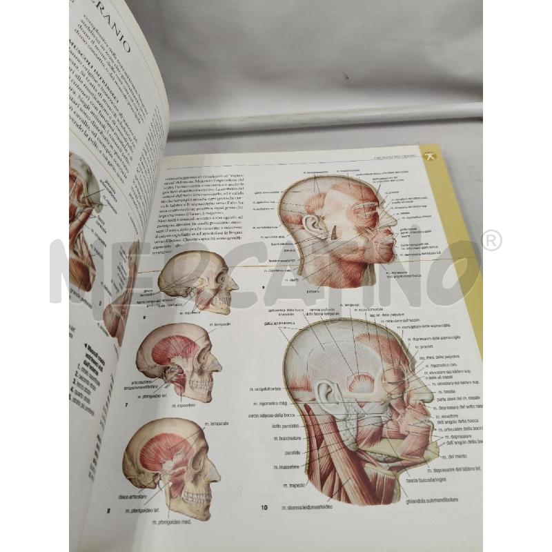 ATLANTE DI ANATOMIA | Mercatino dell'Usato Roma talenti 2