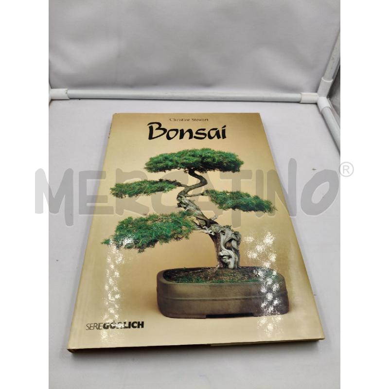 BONSAI CHRISTINE STEWART | Mercatino dell'Usato Roma talenti 1