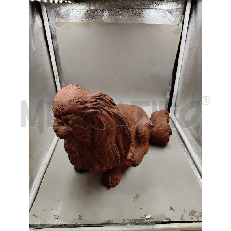 CAGNOLINO TERRACOTTA ORIENTALE  | Mercatino dell'Usato Roma talenti 2