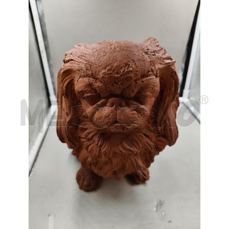 CAGNOLINO TERRACOTTA ORIENTALE  | Mercatino dell'Usato Roma talenti 3