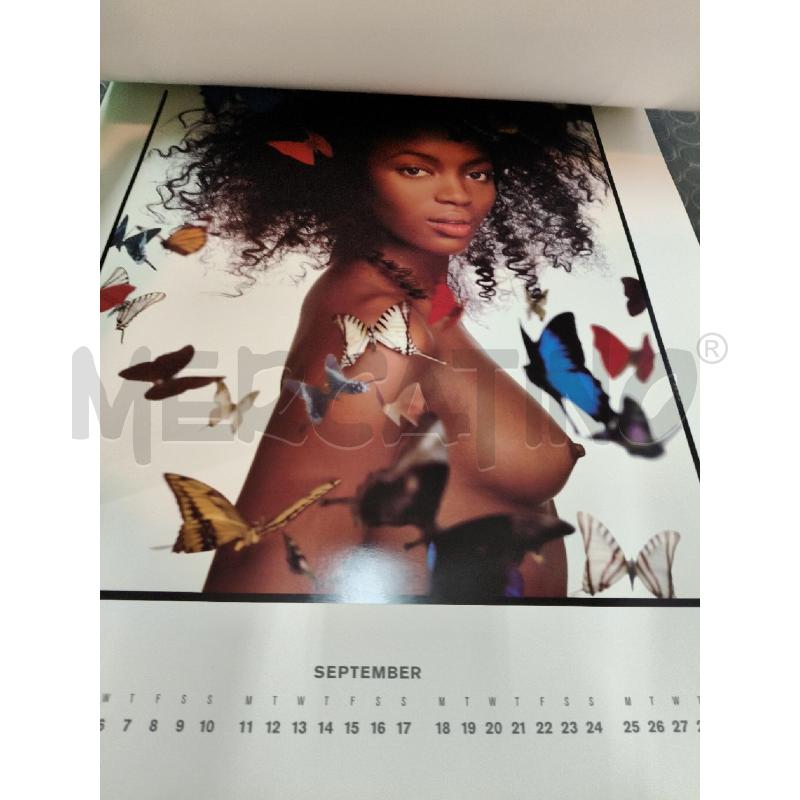 CALENDARIO PIRELLI 1995 SEASONS RICHARD AVEDON | Mercatino dell'Usato Roma talenti 3