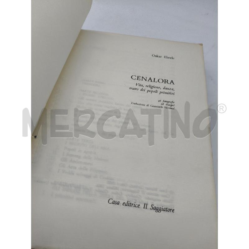 CENALORA 48 FOTOGRAFIE 28 DISEGNI | Mercatino dell'Usato Roma talenti 3