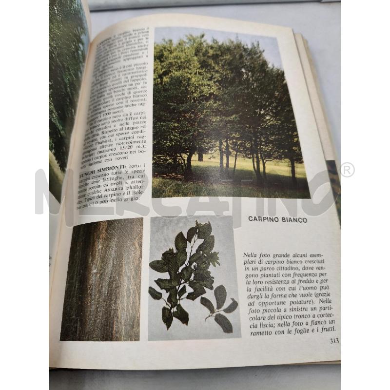 CERCAR FUNGHI RIZZOLI EDITORE | Mercatino dell'Usato Roma talenti 3