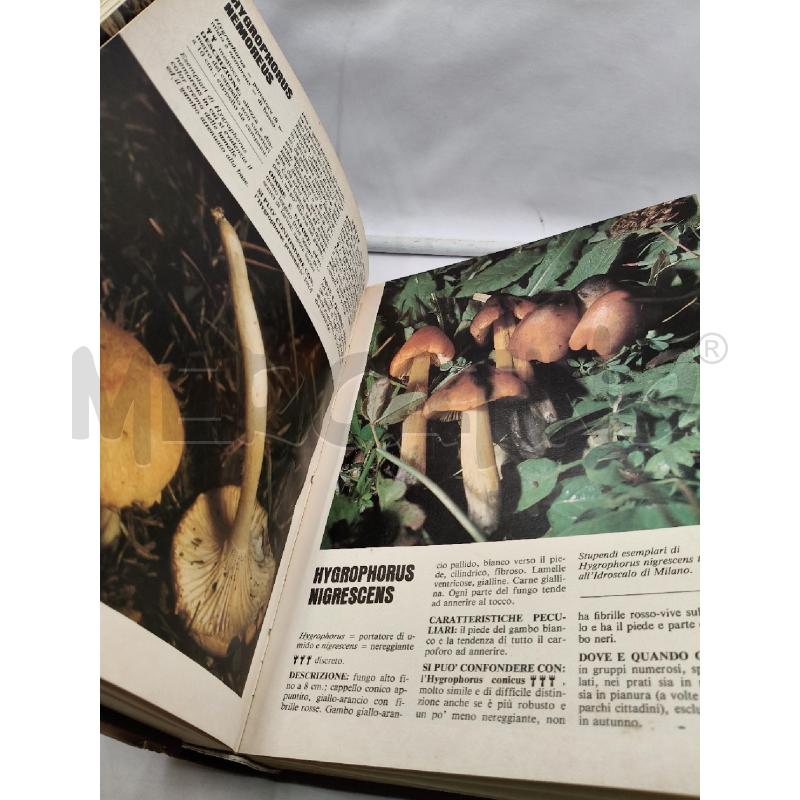 CERCAR FUNGHI RIZZOLI EDITORE | Mercatino dell'Usato Roma talenti 4