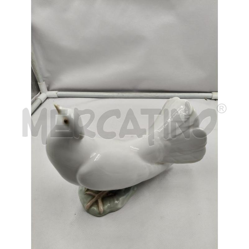 COLOMBA CER LLADRO | Mercatino dell'Usato Roma talenti 2
