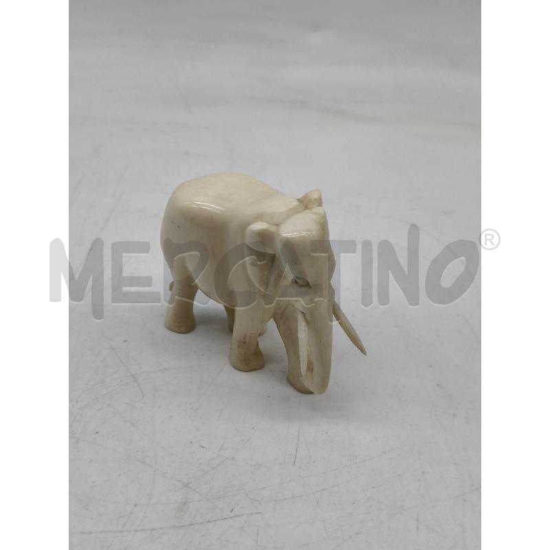 ELEFANTINO AFRICANO  | Mercatino dell'Usato Roma talenti 1