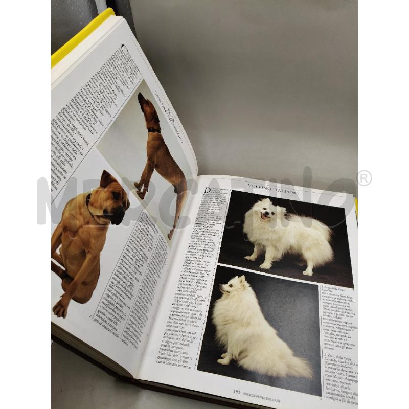 ENCICLOPEDIA ILLUSTRATA DEL CANE | Mercatino dell'Usato Roma talenti 2