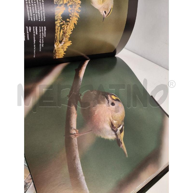 FAUNA ALPINA INCONTRI ED EMOZIONI CURCI & GENOVESE | Mercatino dell'Usato Roma talenti 2
