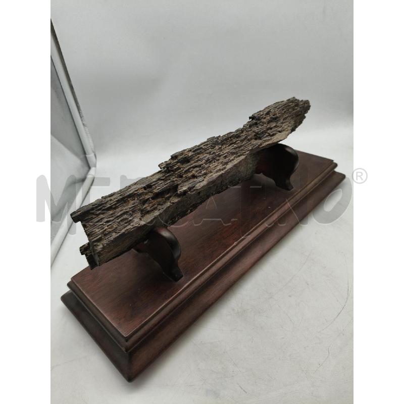FOSSILE FORESTA  | Mercatino dell'Usato Roma talenti 1
