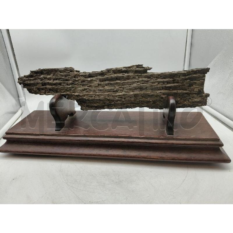 FOSSILE FORESTA  | Mercatino dell'Usato Roma talenti 2