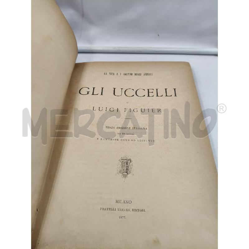 GLI UCCELLI DI FIGUIER | Mercatino dell'Usato Roma talenti 4