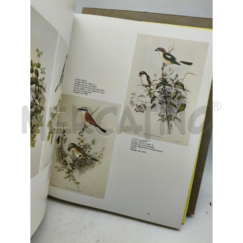 GLI UCCELLI DI JOHN GOULD | Mercatino dell'Usato Roma talenti 2