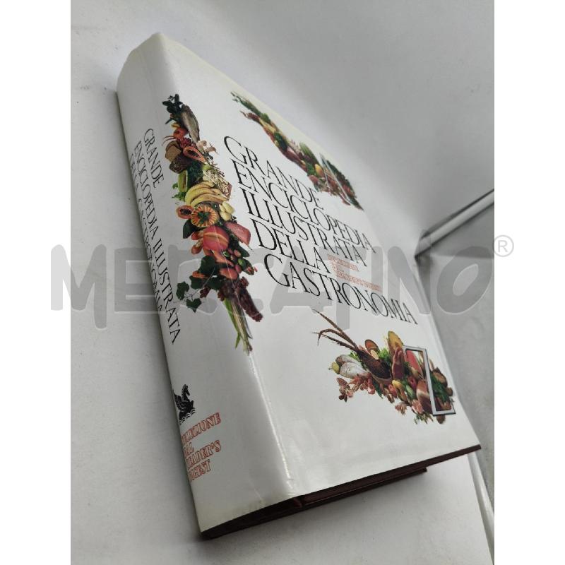 GRANDE ENCICLOPEDIA ILLUSTRATA DELLA GASTRONOMIA | Mercatino dell'Usato Roma talenti 2