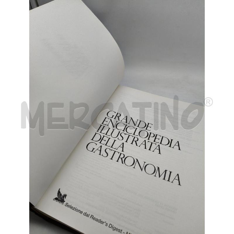 GRANDE ENCICLOPEDIA ILLUSTRATA DELLA GASTRONOMIA | Mercatino dell'Usato Roma talenti 3