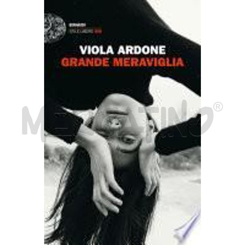 GRANDE MERAVIGLIA | Mercatino dell'Usato Roma talenti 1