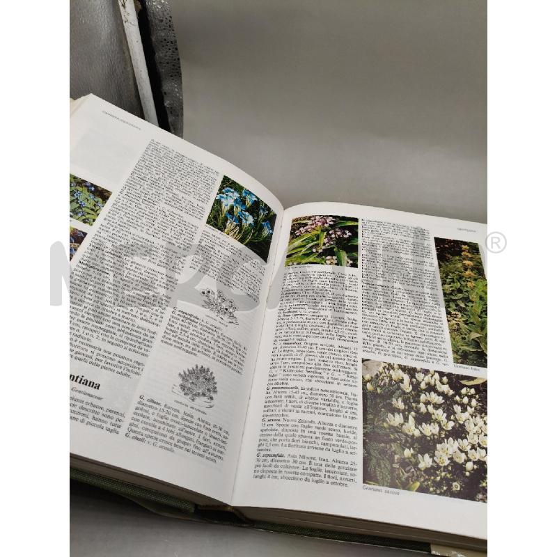 IL GRANDE LIBRO DEI FIORI E DELLE PIANTE | Mercatino dell'Usato Roma talenti 3