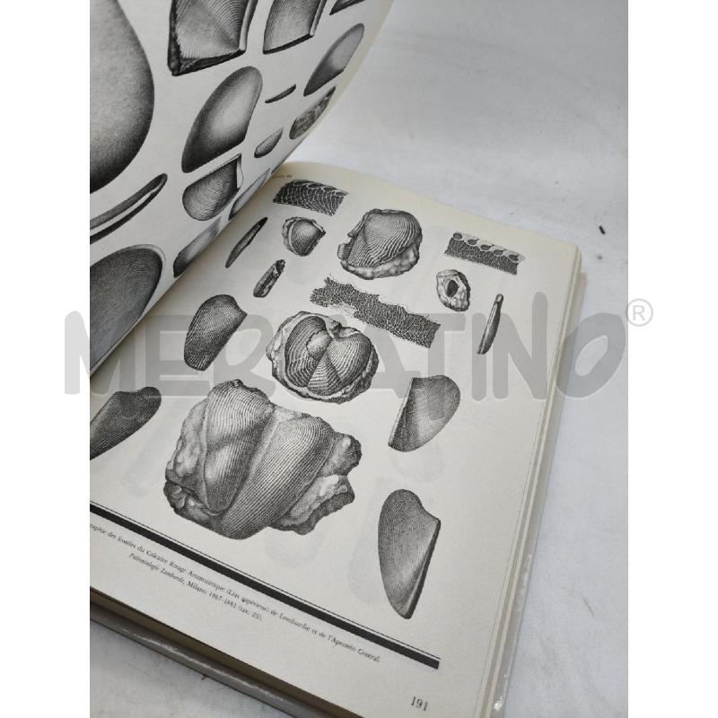 IL GRANDE LIBRO DEI FOSSILI RIZZOLI | Mercatino dell'Usato Roma talenti 2