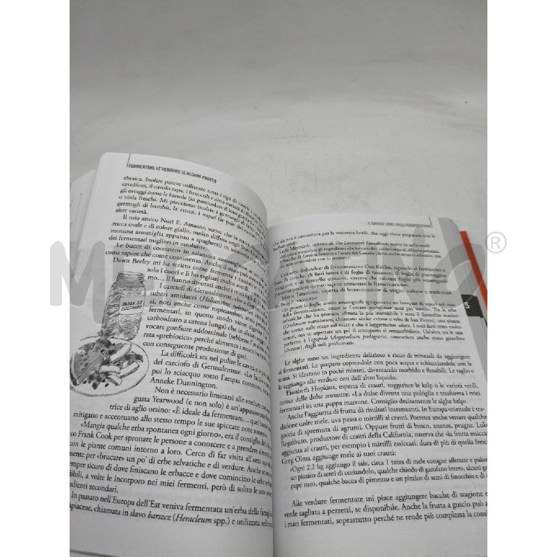 IL GRANDE LIBRO DELLA FERMENTAZIONE | Mercatino dell'Usato Roma talenti 4
