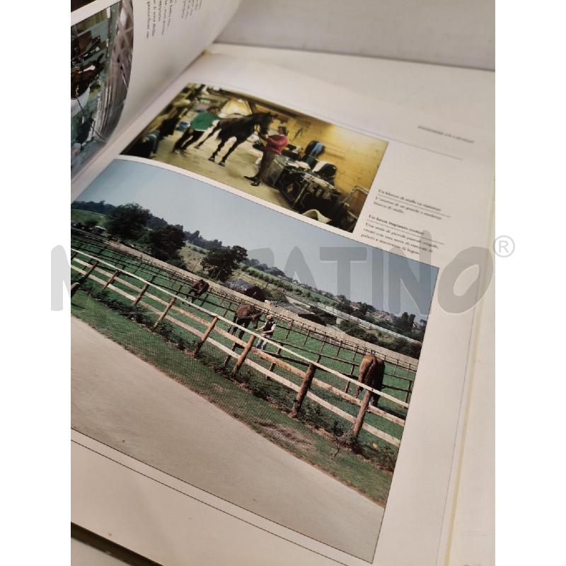 IL LIBRO DEL CAVALLO | Mercatino dell'Usato Roma talenti 5