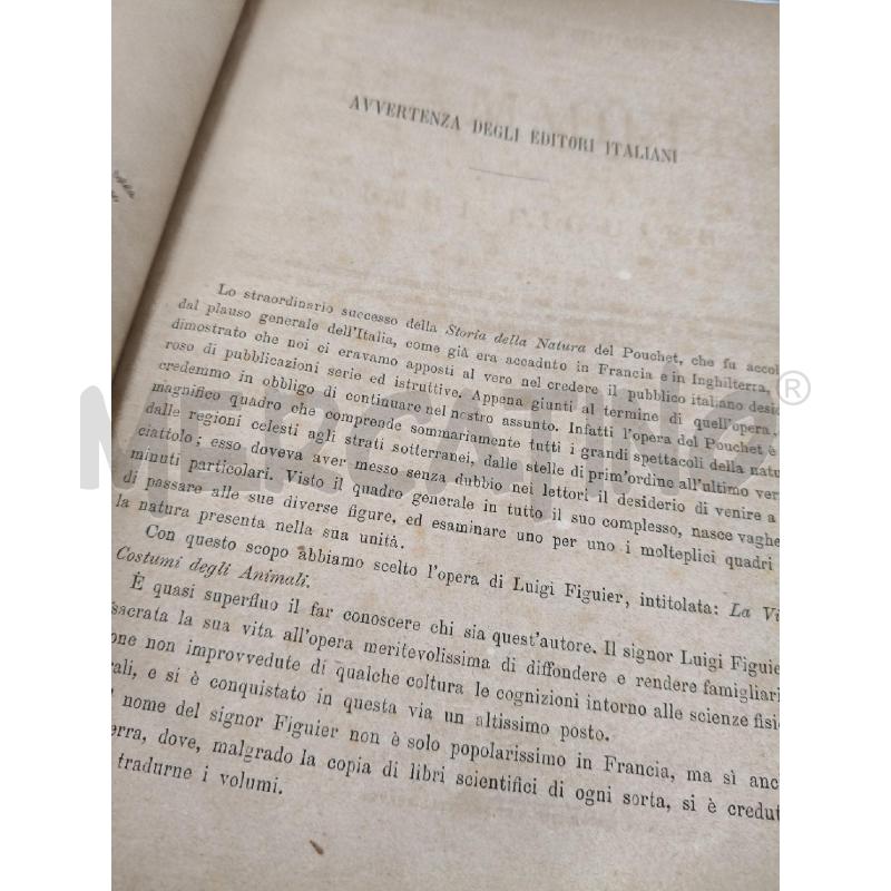 I MAMMIFERI DI FIGUIER | Mercatino dell'Usato Roma talenti 3