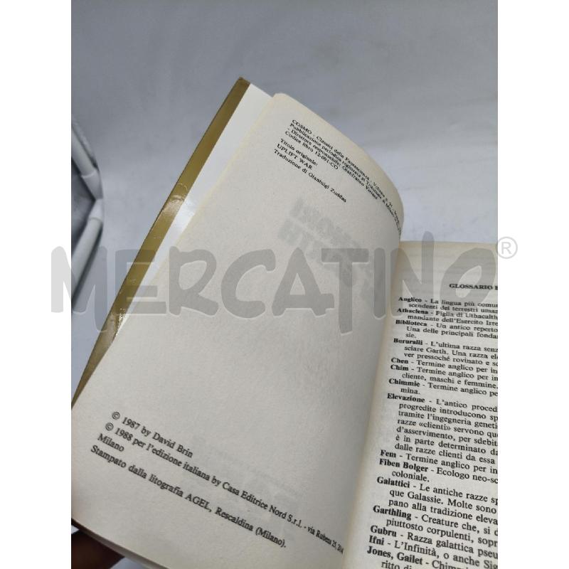 I SIGNORI DI GARTH | Mercatino dell'Usato Roma talenti 4