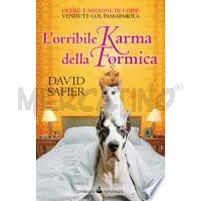 L'ORRIBILE KARMA DELLA FORMICA | Mercatino dell'Usato Roma talenti 1