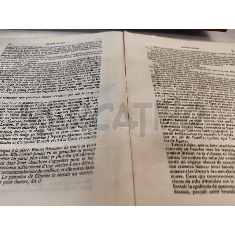 MADAME BOVARY 50 BOIS ORIGINAUX DE CLAUDEL | Mercatino dell'Usato Roma talenti 4