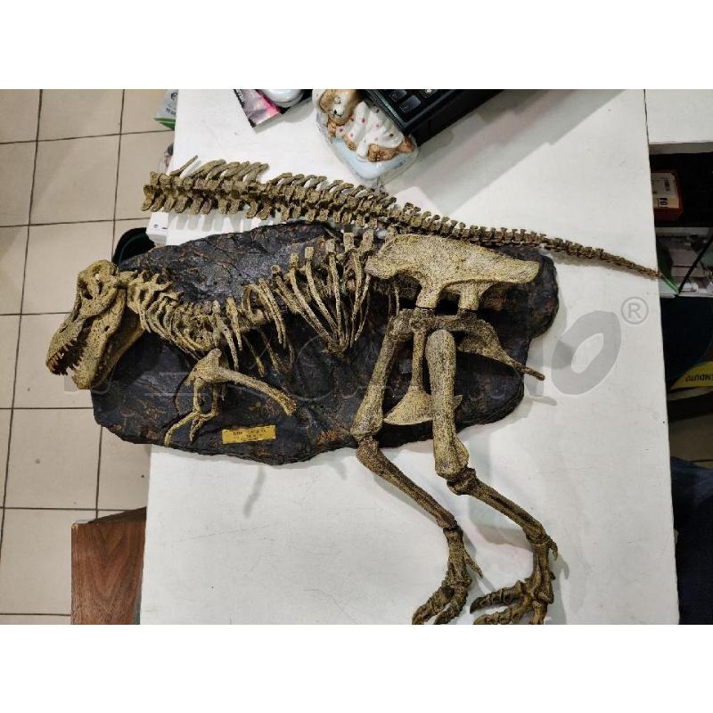 MODELLINO SCHELETRO TREX CON BASE (DA ASSEMBLARE) | Mercatino dell'Usato Roma talenti 1