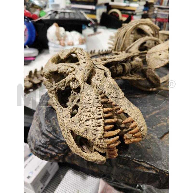 MODELLINO SCHELETRO TREX CON BASE (DA ASSEMBLARE) | Mercatino dell'Usato Roma talenti 3