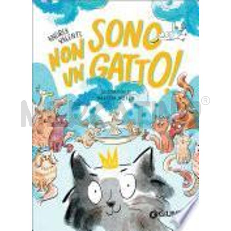 NON SONO UN GATTO! | Mercatino dell'Usato Roma talenti 1