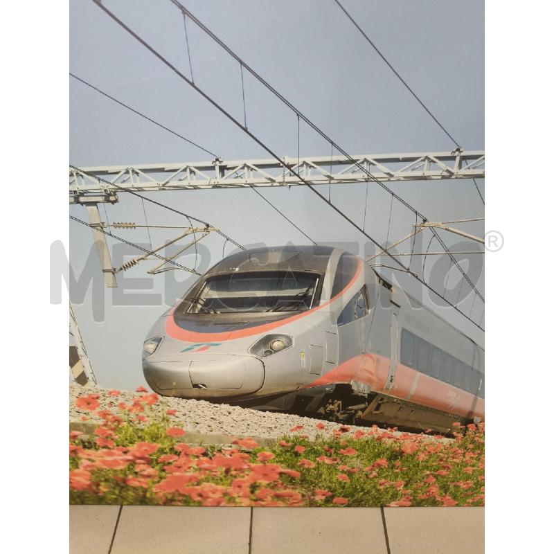 PANNELLO ST TRENO  | Mercatino dell'Usato Roma talenti 2